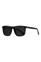 SIGNATURE SUNGLASSES
